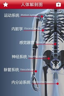 高清全彩医学专业典籍截图3