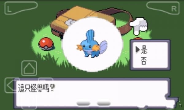 口袋妖怪：蓝宝石截图2