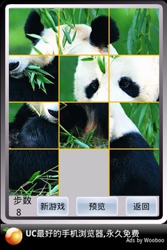 熊猫之谜截图