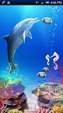 Dolphin and Friends Trial截图1