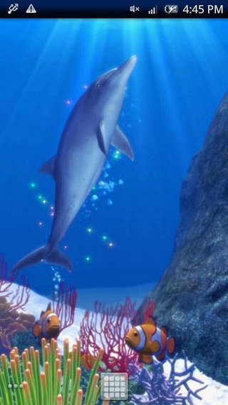 Dolphin and Friends Trial截图2