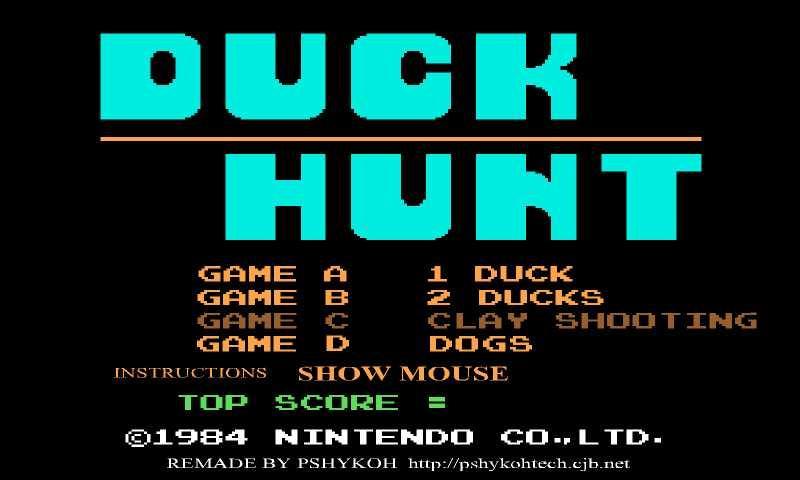 Duck Hunting截图1