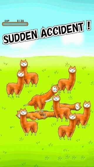 Alpaca截图1