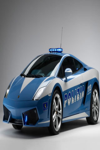 世界警车  Police Car截图3