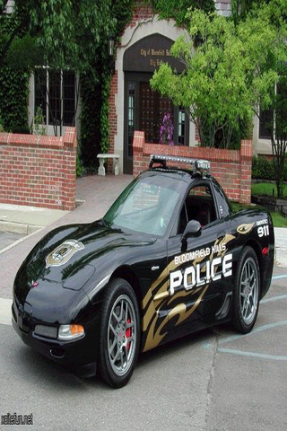 世界警车  Police Car截图4