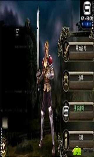 Dungeon Hunter 2截图4