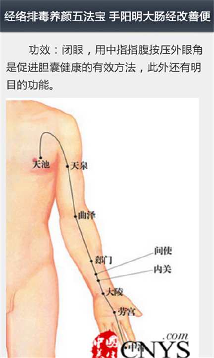 中医经络养生截图3