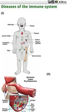 Human Body Systems截图