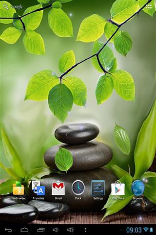 叶动态壁纸 Leaf Live Wallpaper截图4