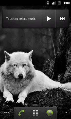 Wolves HQ Live Wallpaper截图5