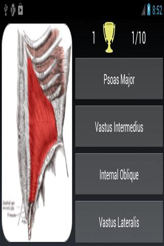 Muscle Quiz截图2