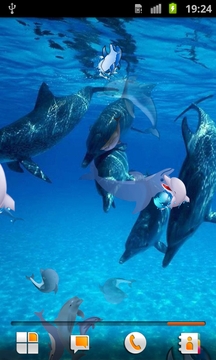 3D jumping dolphin HD Live Wallpaper截图
