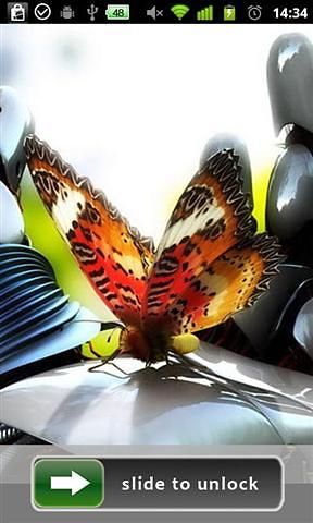 3D蝴蝶主题锁定 3D Butterfly Theme Lock Screen Wallpaper截图5