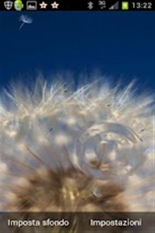 Galaxy S III Dandelion Live Wallpaper截图2