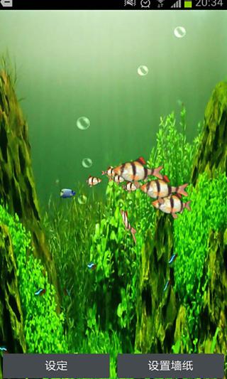 Tiger Barb 3D Live Wallpaper截图1