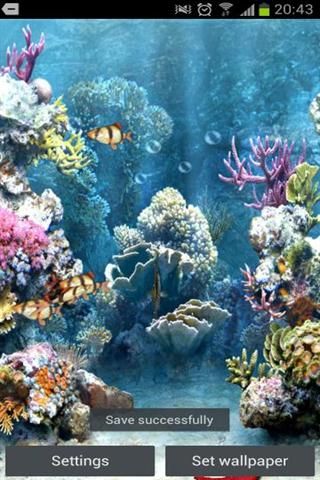 Tiger Barb 3D Live Wallpaper截图4