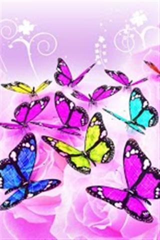 Butterfly Theme HD截图2