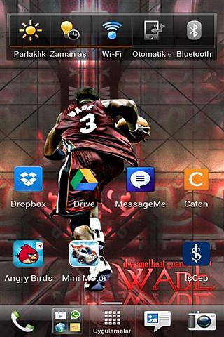 Miami Heat HD Wallpaper截图2