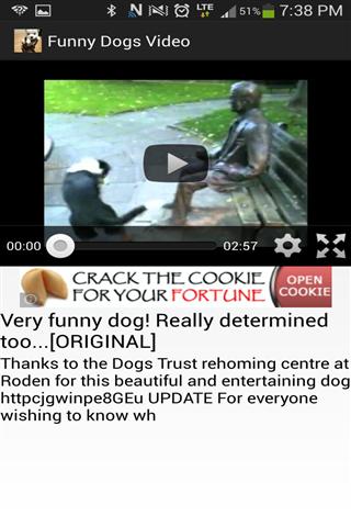 有趣的狗视频 Funny Dogs Video截图1
