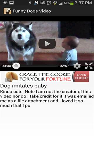 有趣的狗视频 Funny Dogs Video截图2