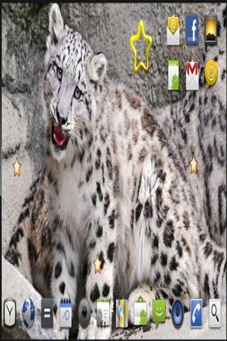 Snow Leopard Best HD LWP截图4