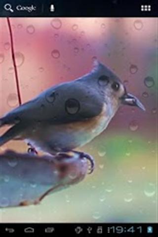 Birds and Fish Livewallpaper截图4