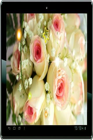 Rose White live wallpaper截图1