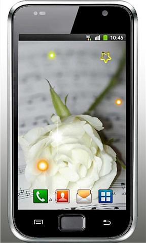 Rose White live wallpaper截图4