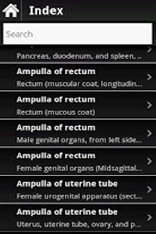 人体解剖图 Anatomy of IOA Lite(高清版)截图1