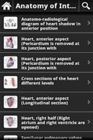 人体解剖图 Anatomy of IOA Lite(高清版)截图3